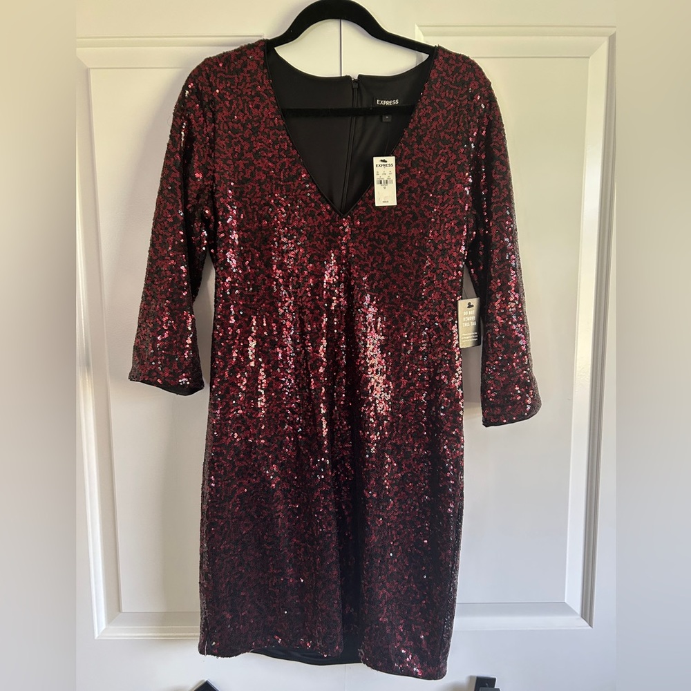 Express V neck Sequin Dress